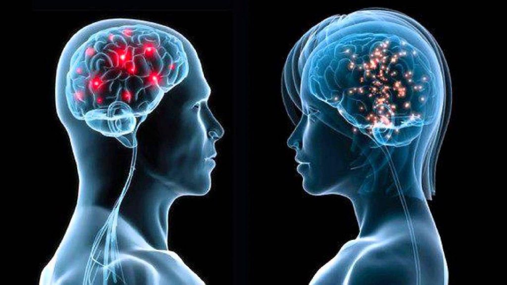 مغز زنانه مغز مردانه